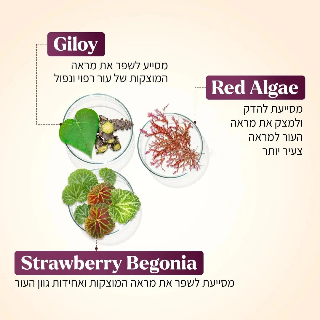 Tone N Taut Body Serum - מהדק ומחזק את מראה העור הרפוי והמצומק בזרועות, ברגליים ובבטן