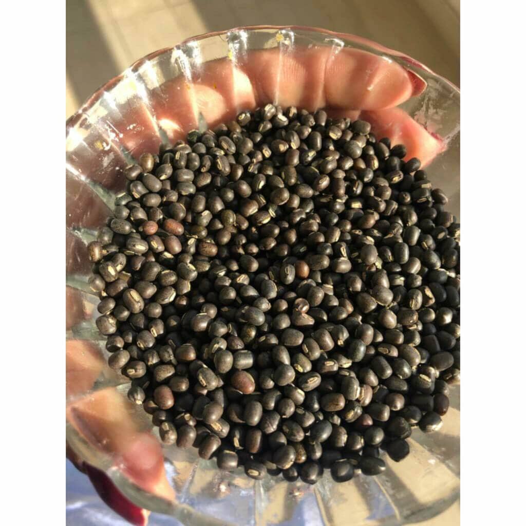 Balaayah Black Gram Body Booster – For Dry, Aging Skin – Deep Moisture & Firmness
