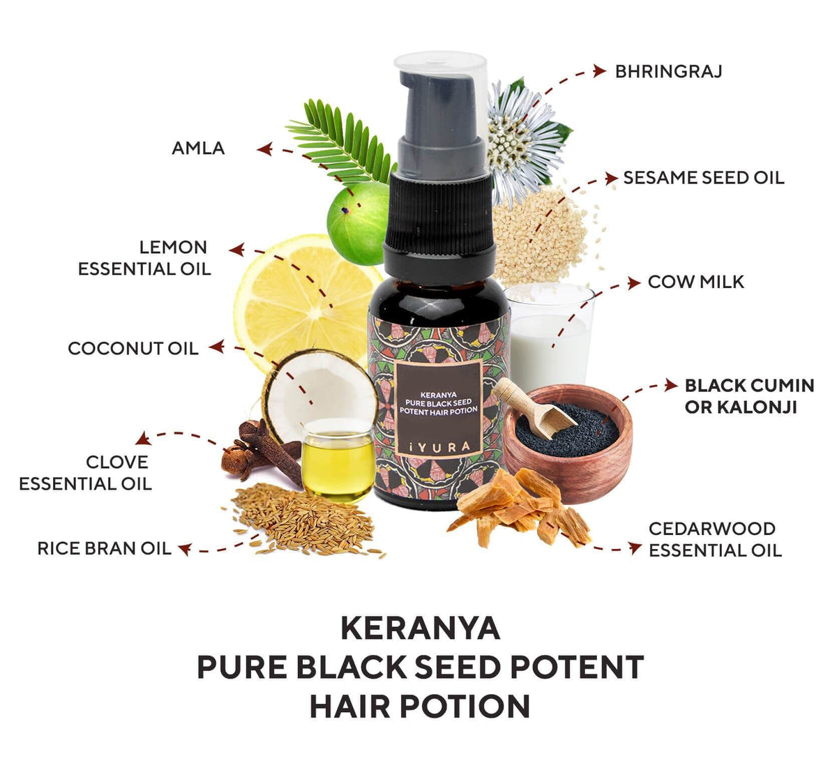 Mini Keranya | Pure Black Seed Potent Hair Potion - More Shiny Hair On The Head, Not In The Comb Hair Oil iYURA 